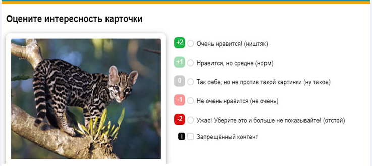 задания в Яндекс Толоке